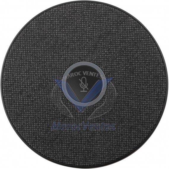 Microphone D